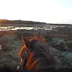 Bed & Breakfast Tvillinggaard Thy