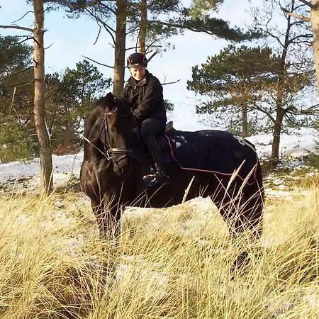 Frühstückspension Tvillinggaard Thy Vang (Nordjylland)