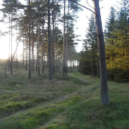 Tvillinggaard Thy Vang (Nordjylland)