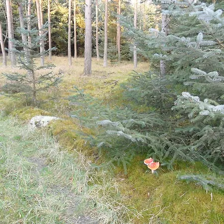 Tvillinggaard Thy Frühstückspension 3*