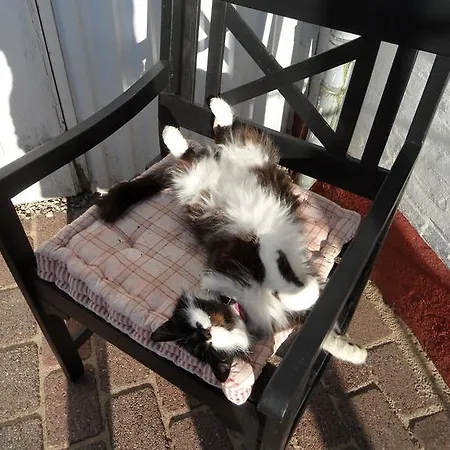 Tvillinggaard Thy Frühstückspension Vang (Nordjylland)