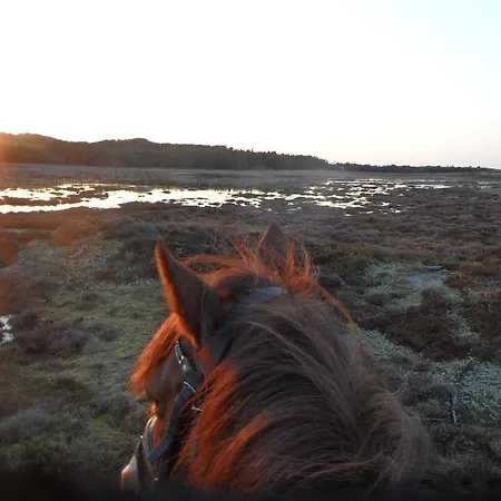 Bed & Breakfast Tvillinggaard Thy