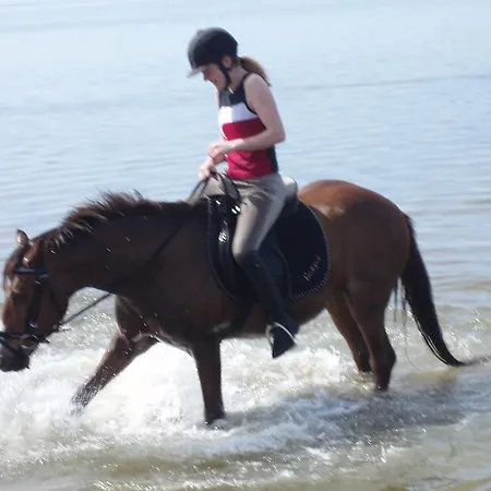 Tvillinggaard Thy Frühstückspension