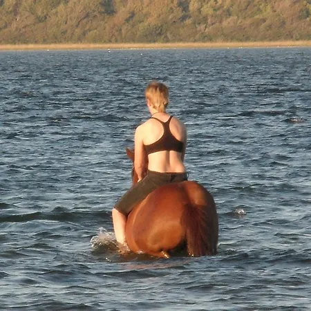 Frühstückspension Tvillinggaard Thy 3*