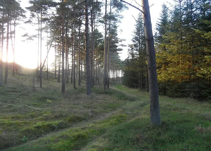 Tvillinggaard Thy Vang (Nordjylland)