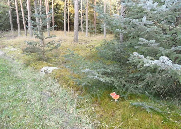 Tvillinggaard Thy Frühstückspension 3*
